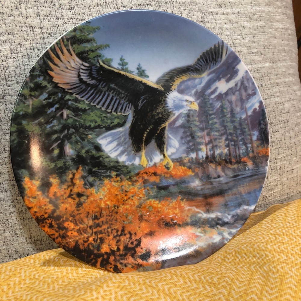 Soaring eagle plate